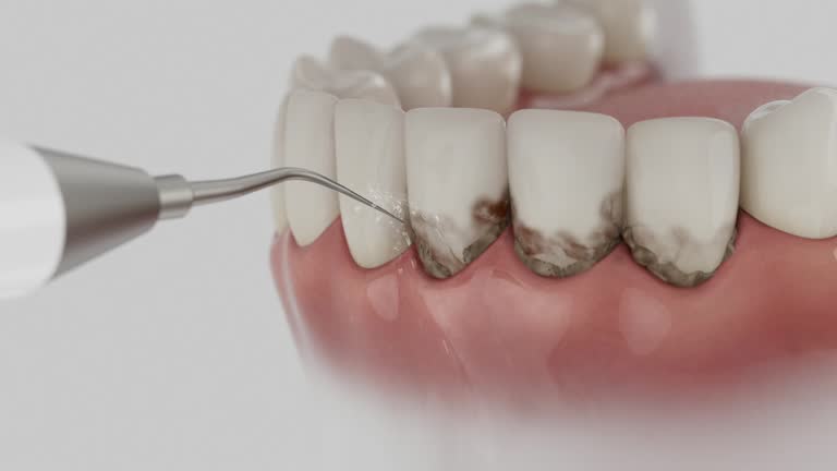 Reliable Dental contractor in Wirt County County, WV by Dentist Open Now